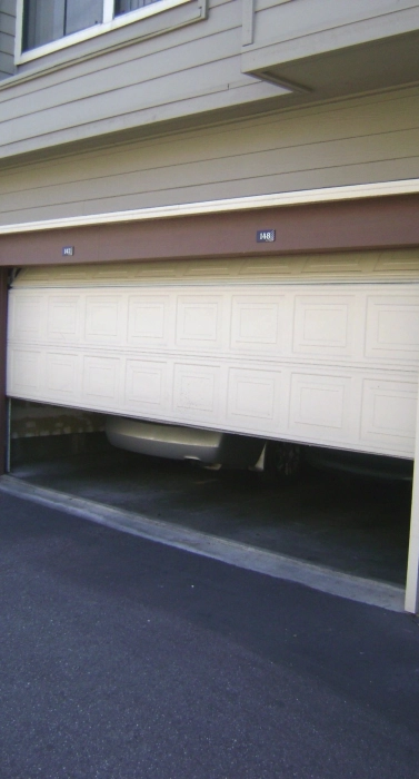 Untitled design (11)